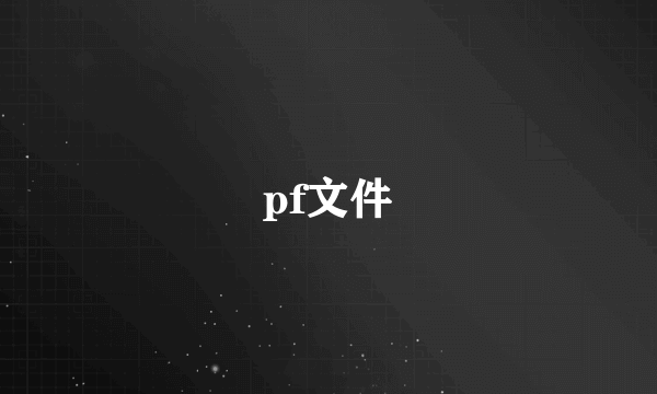 pf文件