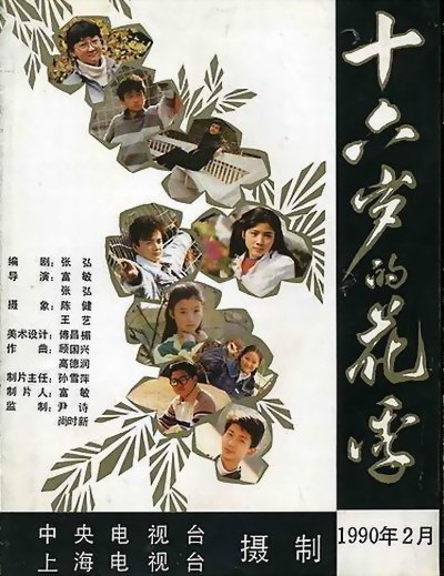 十六岁的花季（1990年中富敏、张弘执导电视剧）