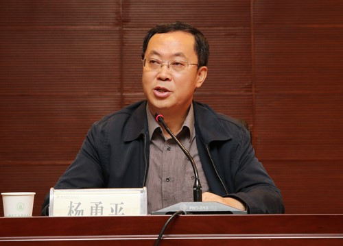 杨勇平（华北电力大学校长）