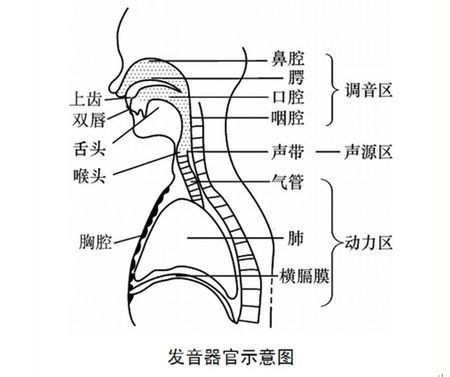 什么是周期性结巴