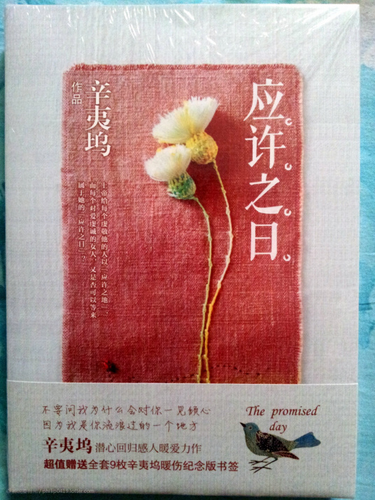 什么是应许之日（2014年百花洲文艺出版社出版的图书）