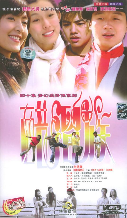 醋溜族（2004年佟大为主演电视剧）