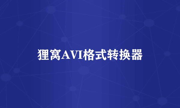 什么是狸窝AVI格式转换器