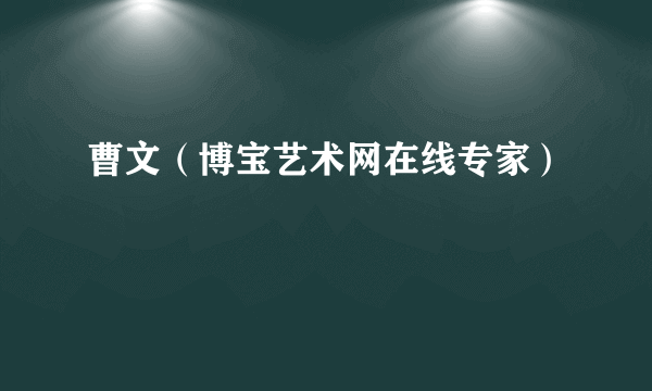 什么是曹文（博宝艺术网在线专家）