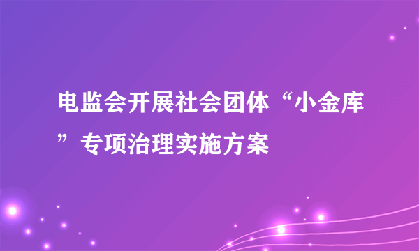 电监会开展社会团体“小金库”专项治理实施方案