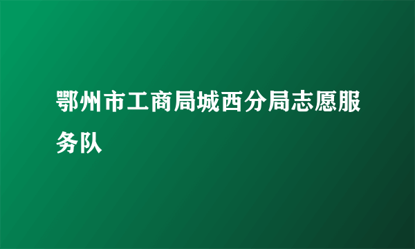 鄂州市工商局城西分局志愿服务队