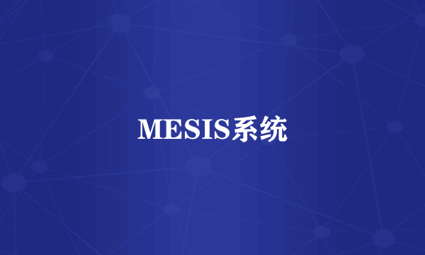 MESIS系统