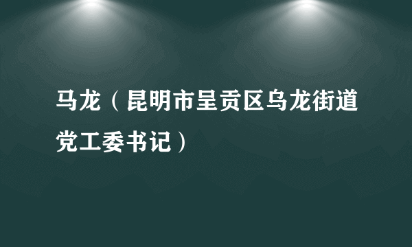 马龙（昆明市呈贡区乌龙街道党工委书记）