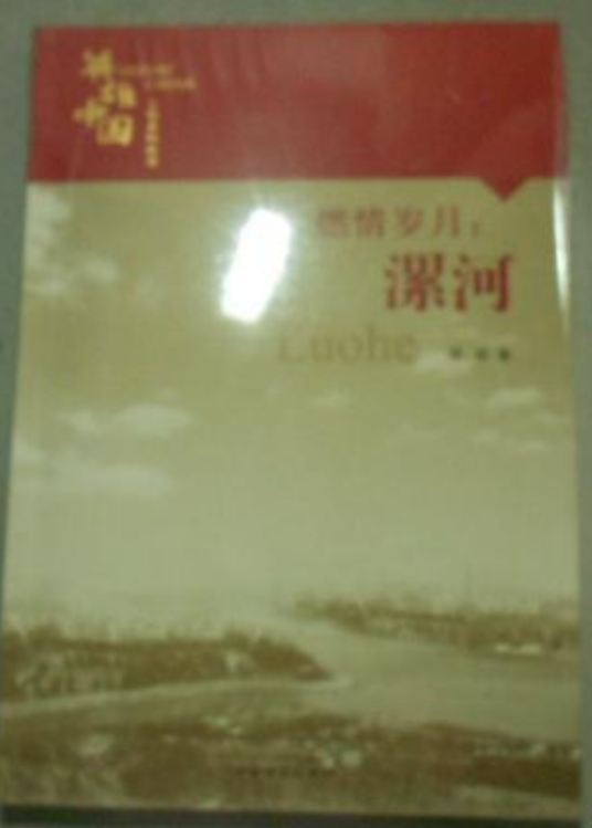 什么是燃情岁月（2008年中国青年出版社出版的图书）