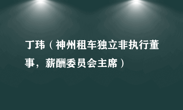 什么是丁玮（神州租车独立非执行董事，薪酬委员会主席）