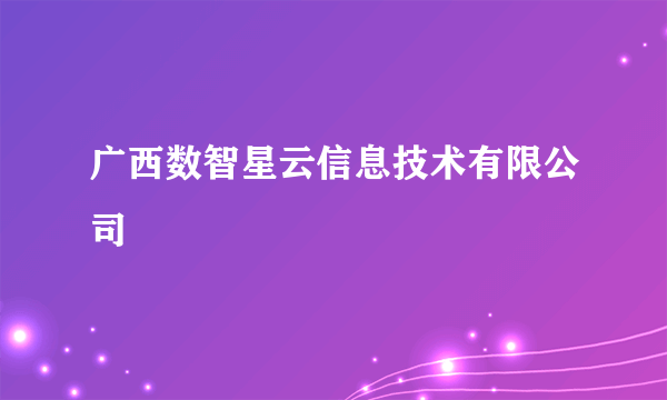 广西数智星云信息技术有限公司