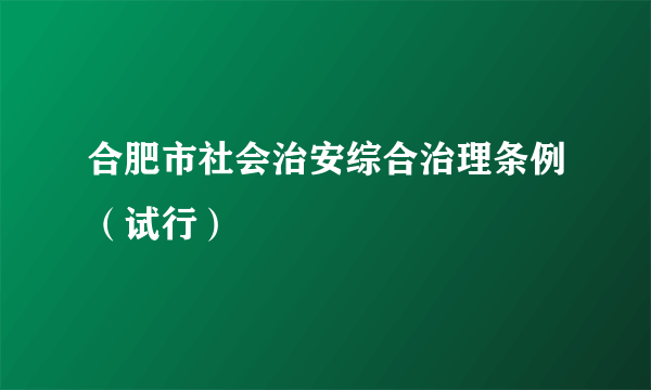 合肥市社会治安综合治理条例（试行）