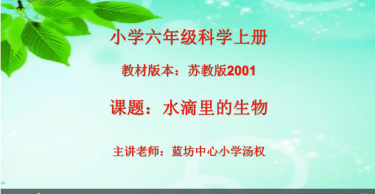 什么是苏教版六年级科学上册微课《水滴里的生物》