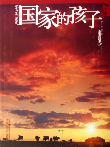 国家的孩子（2006年北京十月文艺出版社出版的图书）