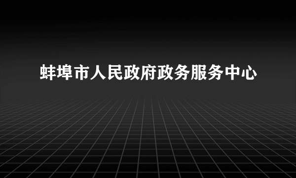 什么是蚌埠市人民政府政务服务中心