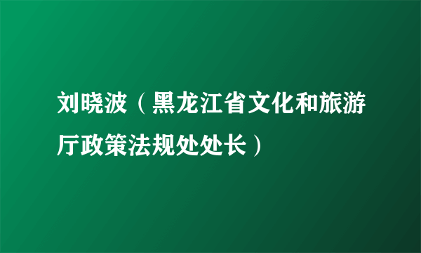 刘晓波（黑龙江省文化和旅游厅政策法规处处长）