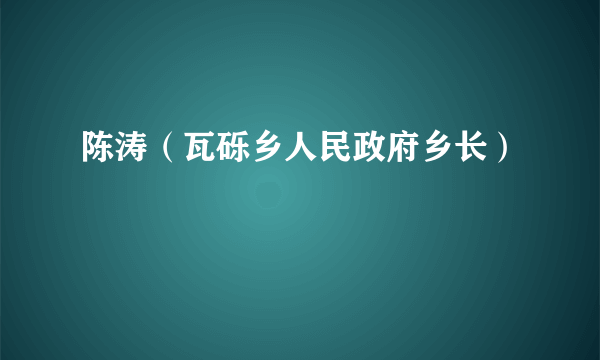 陈涛（瓦砾乡人民政府乡长）