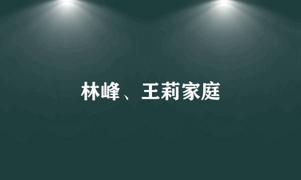 什么是林峰、王莉家庭