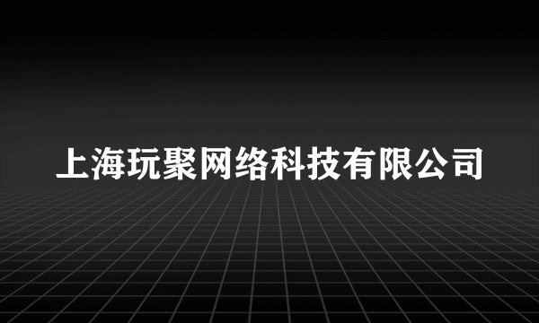 什么是上海玩聚网络科技有限公司