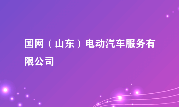 国网（山东）电动汽车服务有限公司