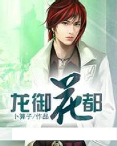 龙御花都（卜算子创作网络小说）