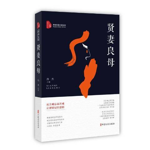 什么是贤妻良母（2020年中国文史出版社出版的图书）