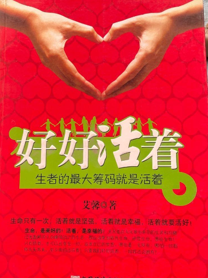 什么是要好好活着（2008年中国经济出版社出版的图书）