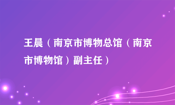 王晨（南京市博物总馆（南京市博物馆）副主任）