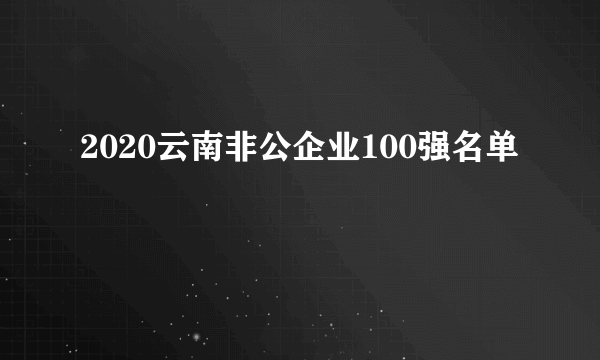 2020云南非公企业100强名单