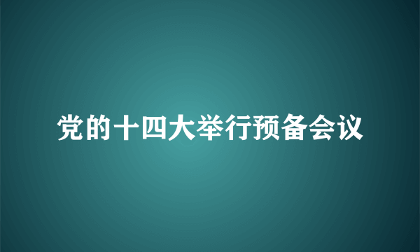 党的十四大举行预备会议