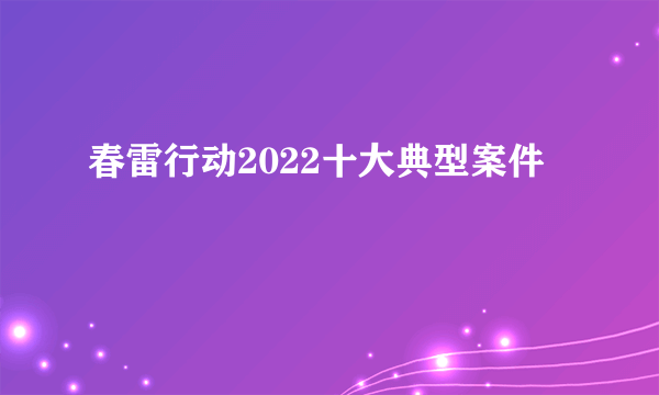 春雷行动2022十大典型案件