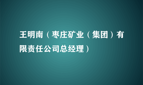 王明南（枣庄矿业（集团）有限责任公司总经理）