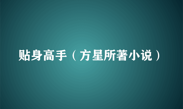 什么是贴身高手（方星所著小说）