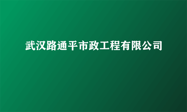 武汉路通平市政工程有限公司