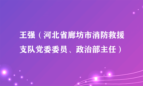 王强（河北省廊坊市消防救援支队党委委员、政治部主任）