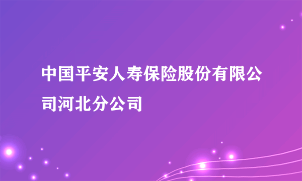 中国平安人寿保险股份有限公司河北分公司