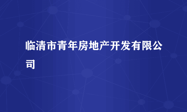 什么是临清市青年房地产开发有限公司