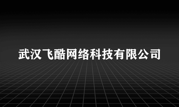 武汉飞酷网络科技有限公司