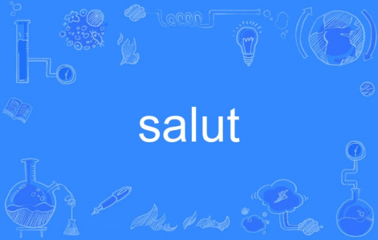 什么是salut