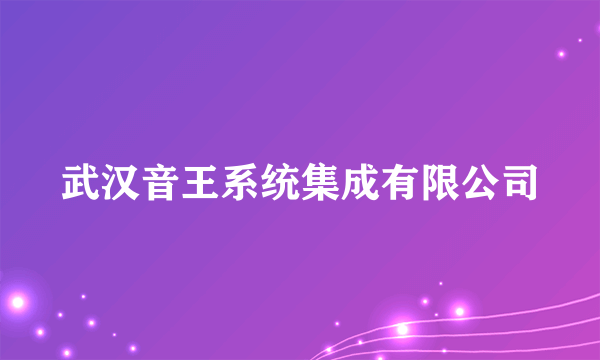 武汉音王系统集成有限公司