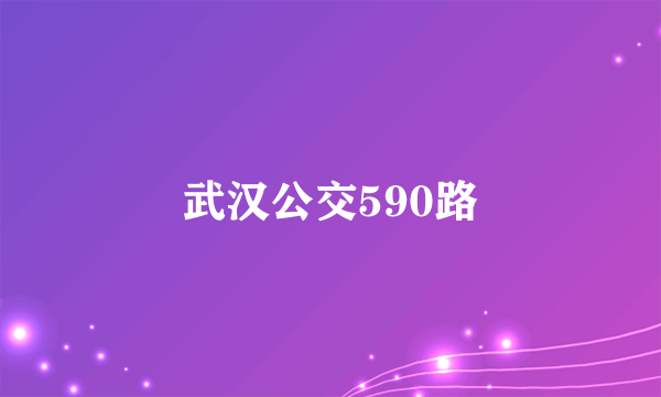 武汉公交590路