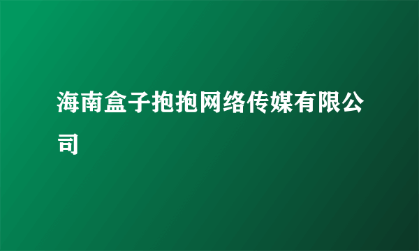 海南盒子抱抱网络传媒有限公司