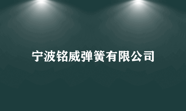 宁波铭威弹簧有限公司