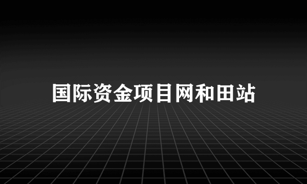 什么是国际资金项目网和田站