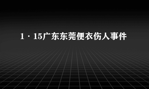 1·15广东东莞便衣伤人事件