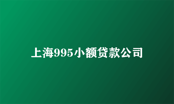 上海995小额贷款公司