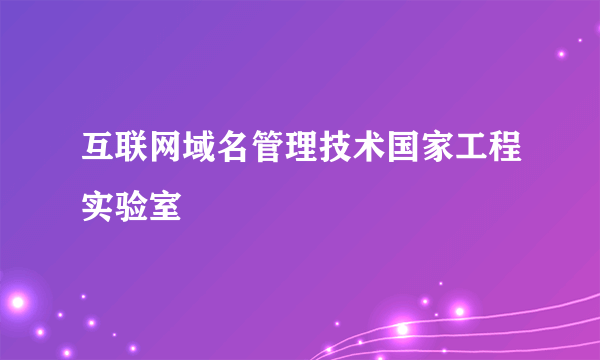 互联网域名管理技术国家工程实验室