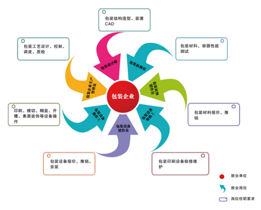 课程设置