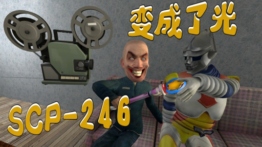 什么是scp-246