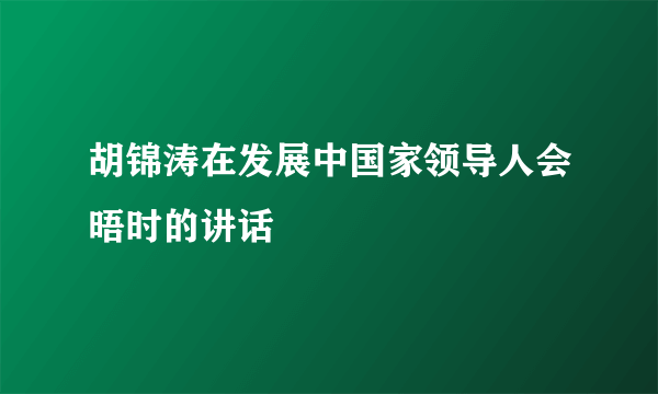 胡锦涛在发展中国家领导人会晤时的讲话